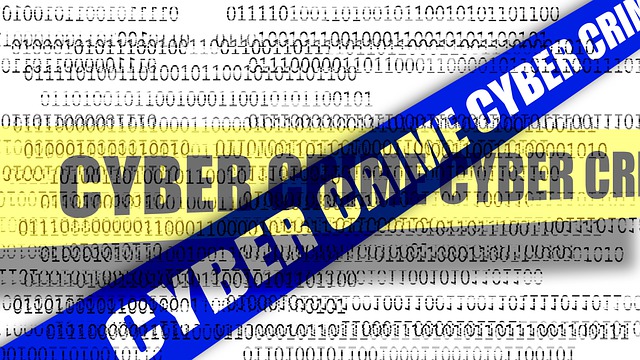 Cyber Crime