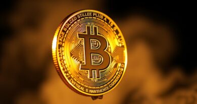 Bitcoin or gold investment